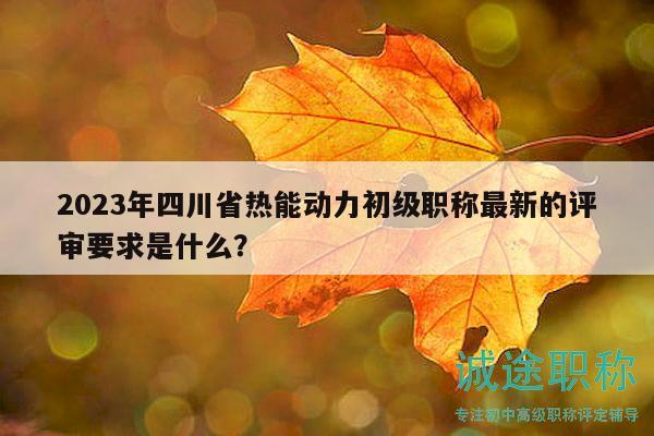 2023年四川省热能动力初级职称最新的评审要求是什么？