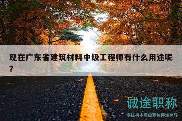 现在广东省建筑材料中级工程师有什么用途呢？