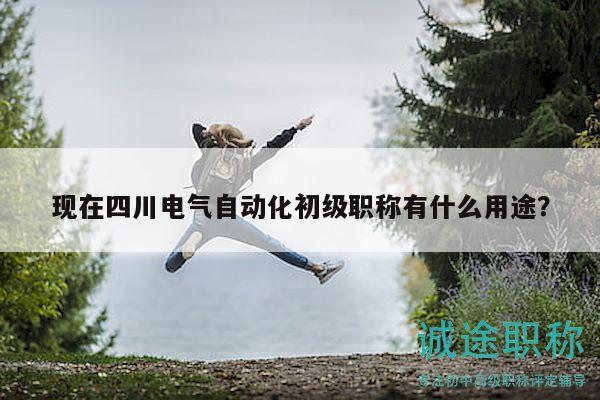 现在四川电气自动化初级职称有什么用途？