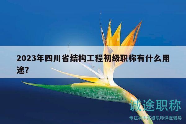 2023年四川省结构工程初级职称有什么用途？