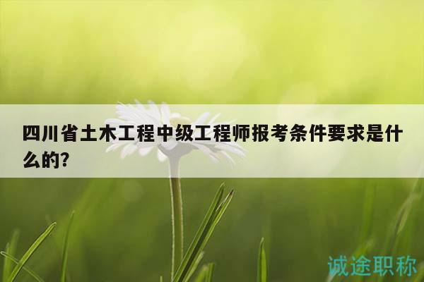 四川省土木工程中级工程师报考条件要求是什么的？