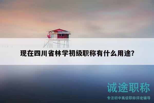 现在四川省林学初级职称有什么用途？