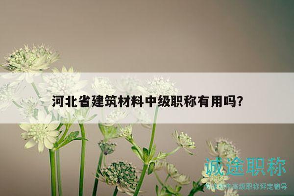 河北省建筑材料中级职称有用吗？