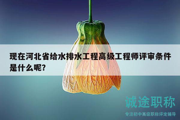 现在河北省给水排水工程高级工程师评审条件是什么呢？