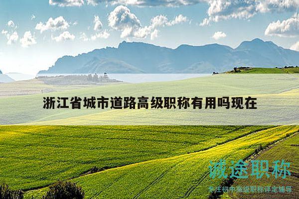 浙江省城市道路高级职称有用吗现在