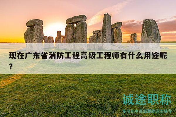 现在广东省消防工程高级工程师有什么用途呢？