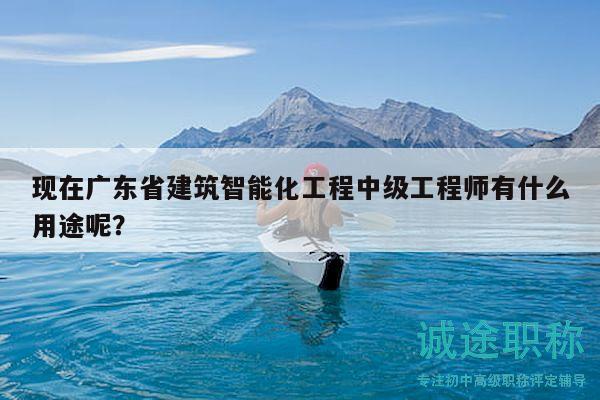 现在广东省建筑智能化工程中级工程师有什么用途呢？