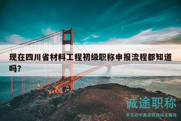 现在四川省材料工程初级职称申报流程都知道吗？