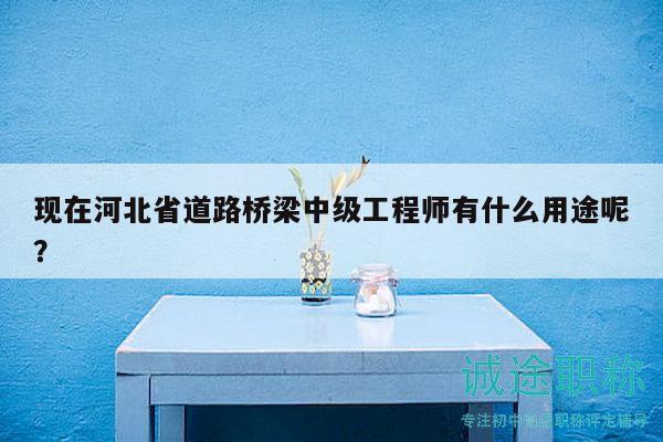 现在河北省道路桥梁中级工程师有什么用途呢？