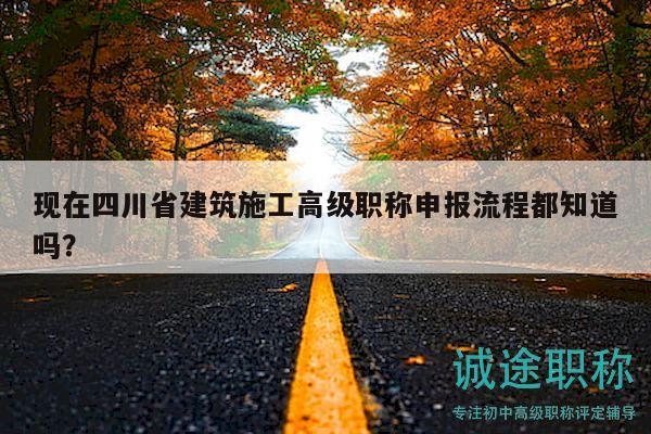 现在四川省建筑施工高级职称申报流程都知道吗？