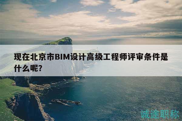 现在北京市BIM设计高级工程师评审条件是什么呢？