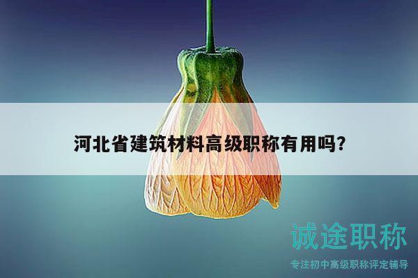 河北省建筑材料高级职称有用吗？