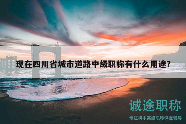 现在四川省城市道路中级职称有什么用途？