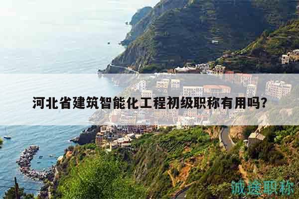 河北省建筑智能化工程初级职称有用吗？