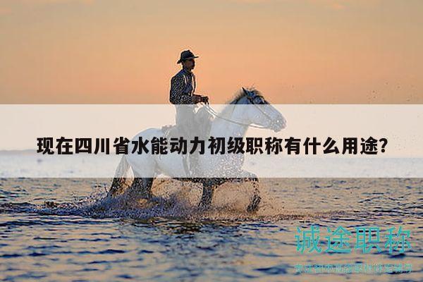 现在四川省水能动力初级职称有什么用途？