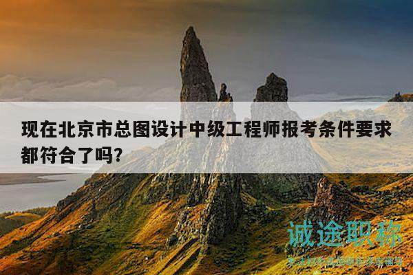 现在北京市总图设计中级工程师报考条件要求都符合了吗？