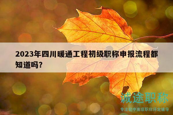 2023年四川暖通工程初级职称申报流程都知道吗？
