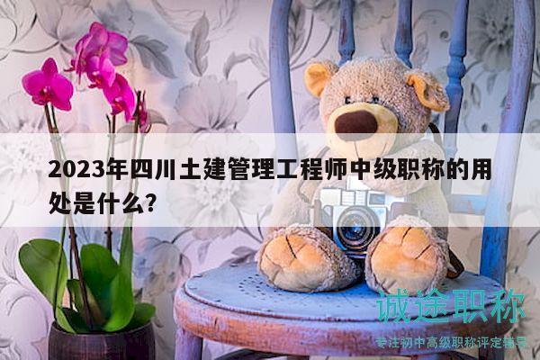 2023年四川土建管理工程师中级职称的用处是什么？