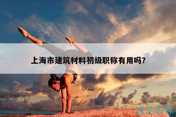 上海市建筑材料初级职称有用吗？