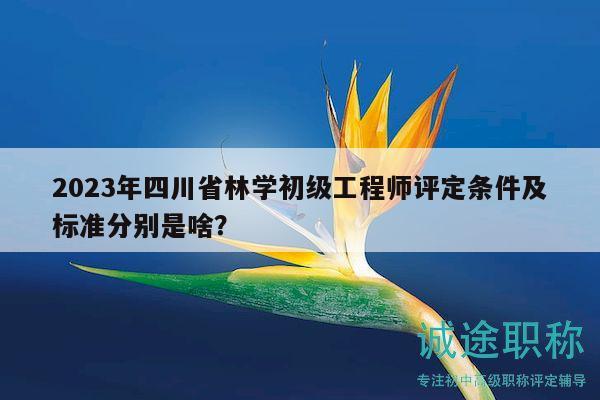 2023年四川省林学初级工程师评定条件及标准分别是啥？