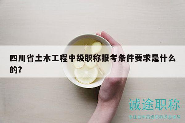 四川省土木工程中级职称报考条件要求是什么的？