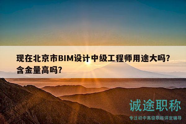 现在北京市BIM设计中级工程师用途大吗？含金量高吗？