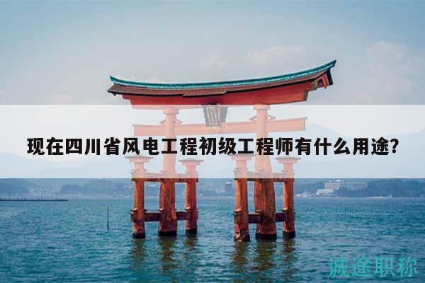 现在四川省风电工程初级工程师有什么用途？