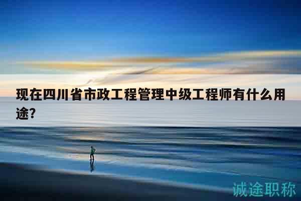 现在四川省市政工程管理中级工程师有什么用途？