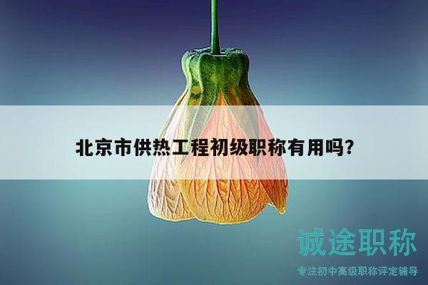 北京市供热工程初级职称有用吗？