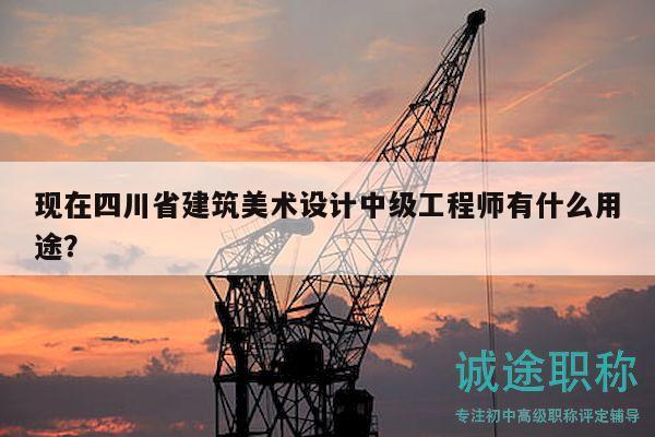 现在四川省建筑美术设计中级工程师有什么用途？
