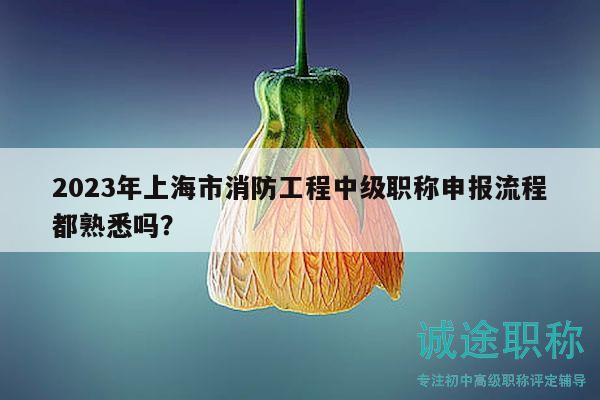 2023年上海市消防工程中级职称申报流程都熟悉吗？