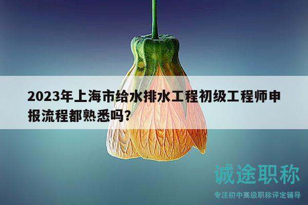 2023年上海市给水排水工程初级工程师申报流程都熟悉吗？