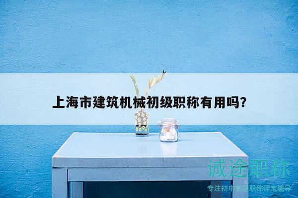 上海市建筑机械初级职称有用吗？