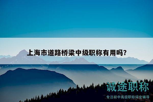 上海市道路桥梁中级职称有用吗？