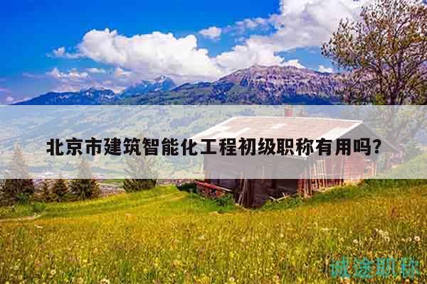 北京市建筑智能化工程初级职称有用吗？