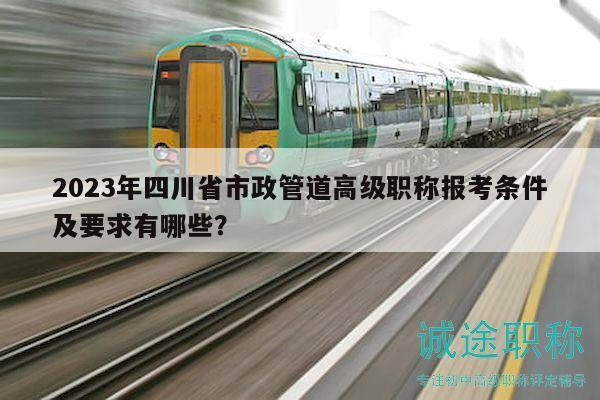 2023年四川省市政管道高级职称报考条件及要求有哪些？