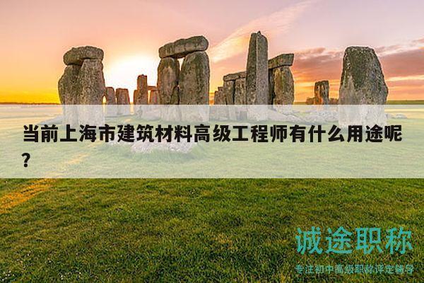 当前上海市建筑材料高级工程师有什么用途呢？
