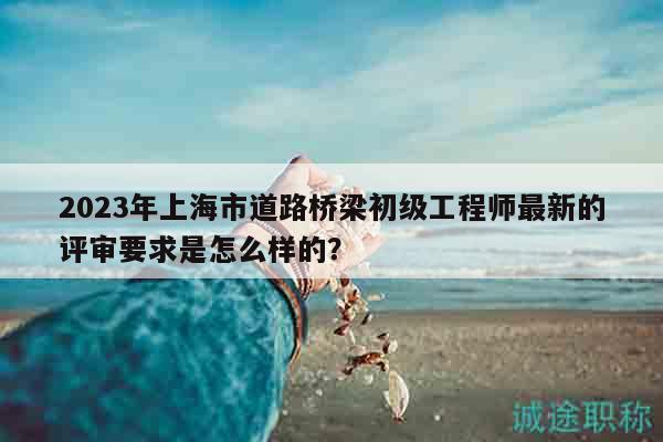 2023年上海市道路桥梁初级工程师最新的评审要求是怎么样的？