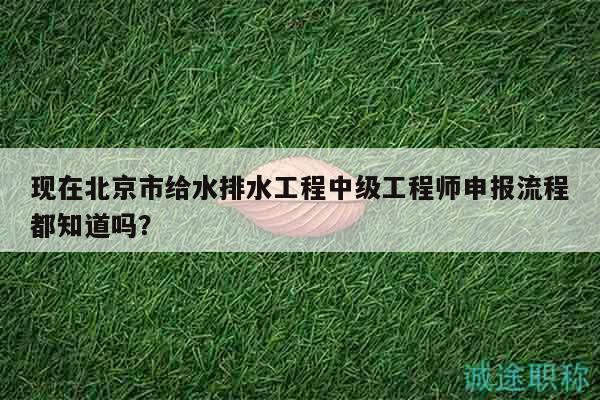 现在北京市给水排水工程中级工程师申报流程都知道吗？