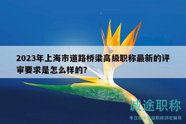 2023年上海市道路桥梁高级职称最新的评审要求是怎么样的？