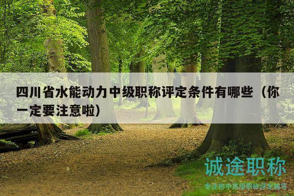 四川省水能动力中级职称评定条件有哪些（你一定要注意啦）