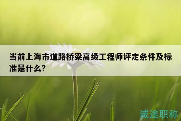 当前上海市道路桥梁高级工程师评定条件及标准是什么？