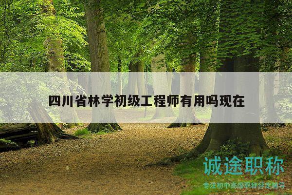四川省林学初级工程师有用吗现在