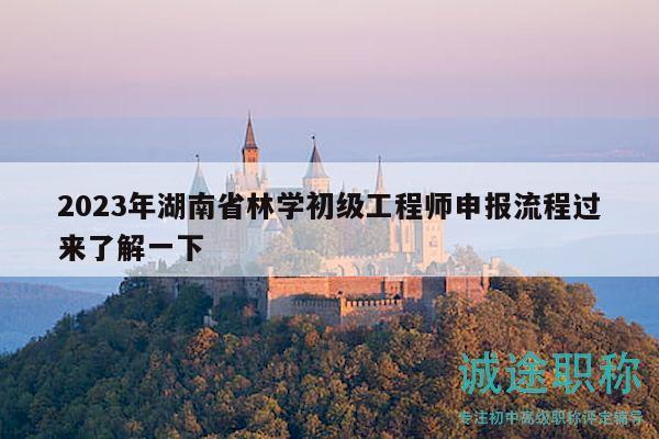 2023年湖南省林学初级工程师申报流程过来了解一下