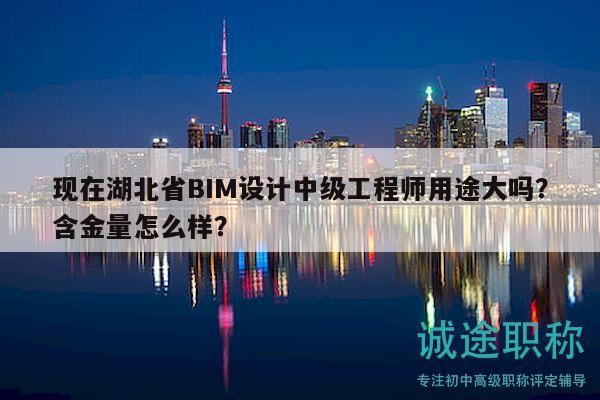 现在湖北省BIM设计中级工程师用途大吗？含金量怎么样？