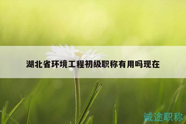 湖北省环境工程初级职称有用吗现在