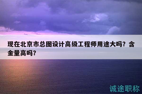 现在北京市总图设计高级工程师用途大吗？含金量高吗？