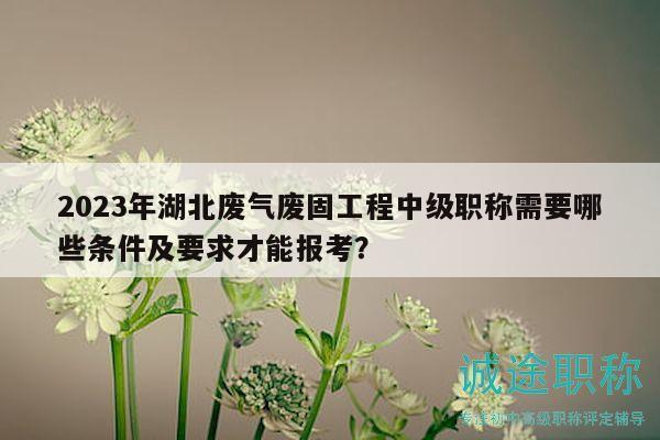 2023年湖北废气废固工程中级职称需要哪些条件及要求才能报考？
