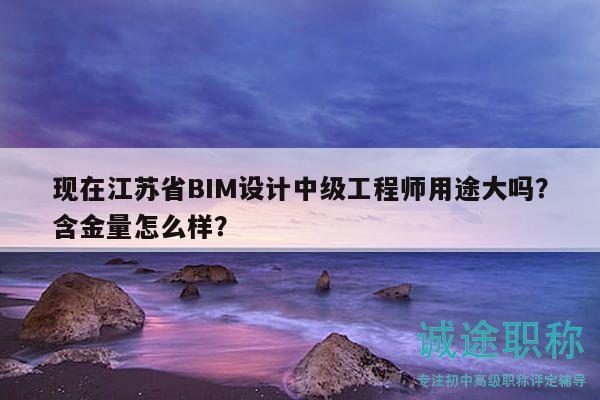现在江苏省BIM设计中级工程师用途大吗？含金量怎么样？