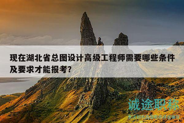 现在湖北省总图设计高级工程师需要哪些条件及要求才能报考？